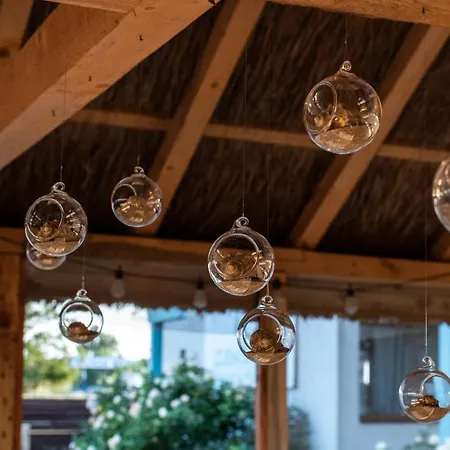 Zen Eco Hotell Sfântu Gheorghe