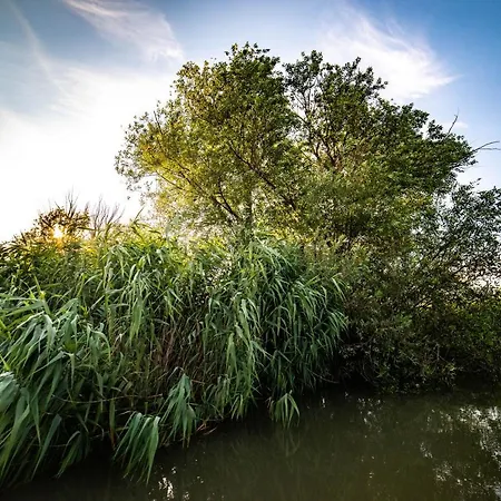 Ξενοδοχείο Zen Eco 3*