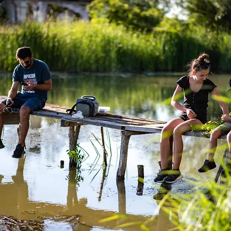Ξενοδοχείο Zen Eco Σφίντου Γκεόργκε