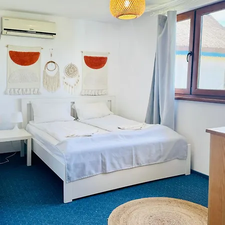 Zen Eco Σφίντου Γκεόργκε