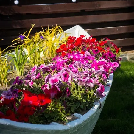 Ξενοδοχείο Zen Eco Σφίντου Γκεόργκε