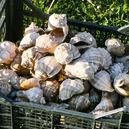 Zen Eco Ξενοδοχείο