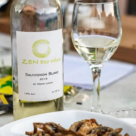Zen Eco 3* Сфынту-Георге