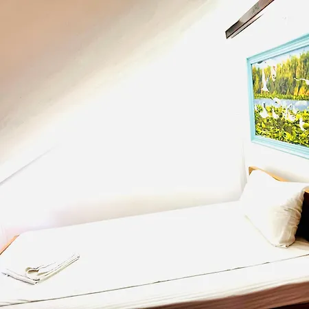 Отель Zen Eco 3*