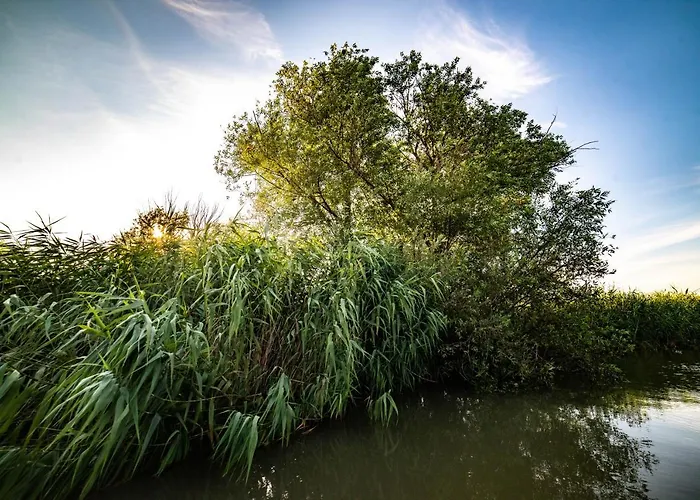 Отель Zen Eco 3*