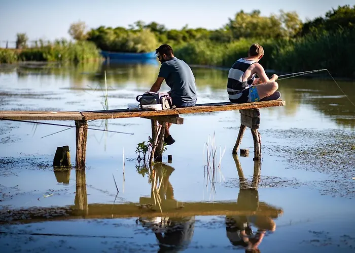 Отель Zen Eco 3*