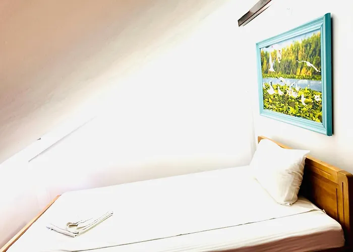 Отель Zen Eco 3*