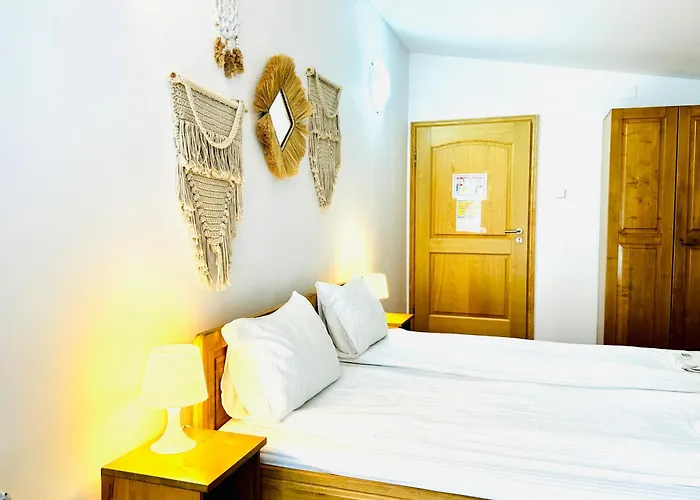 Zen Eco Сфынту-Георге