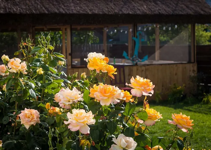 Zen Eco 3* Сфынту-Георге